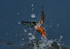 ダイブ　３/７❶