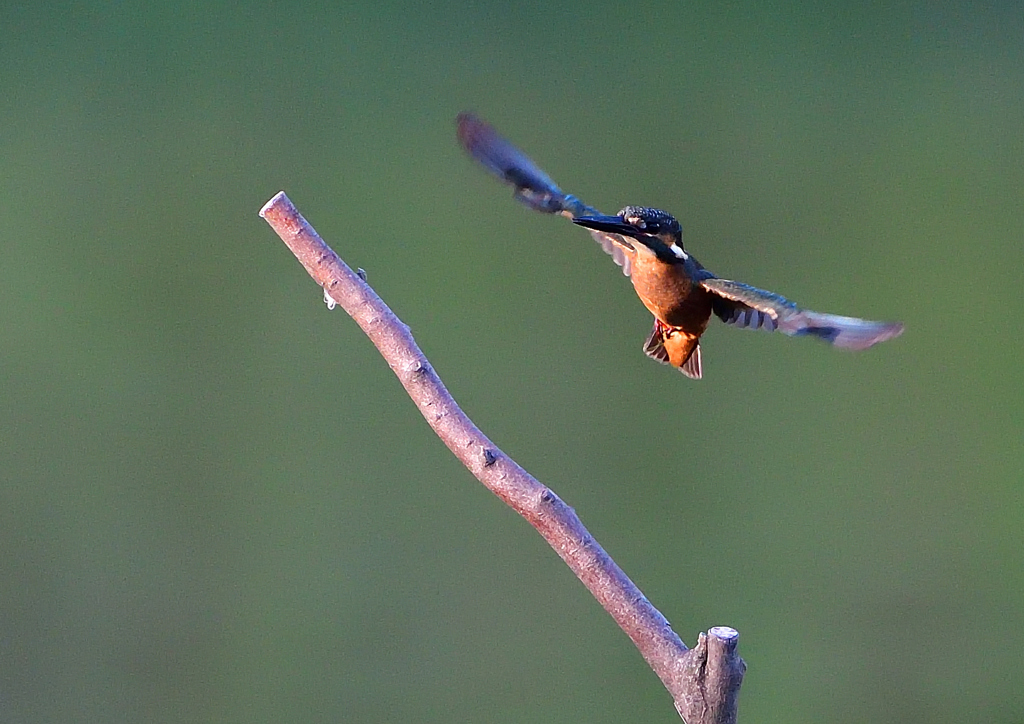 いつもの公園で　８/１６❻
