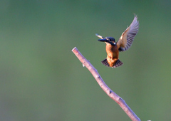 いつもの公園で　８/１６❼