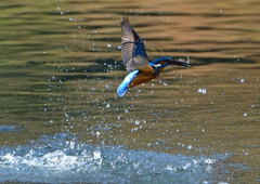 いつもの公園で　１２/８❷