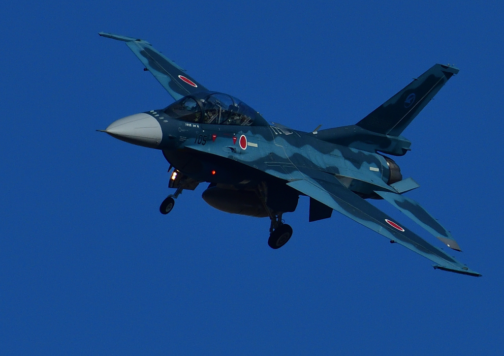 航空自衛隊　１/２０❺