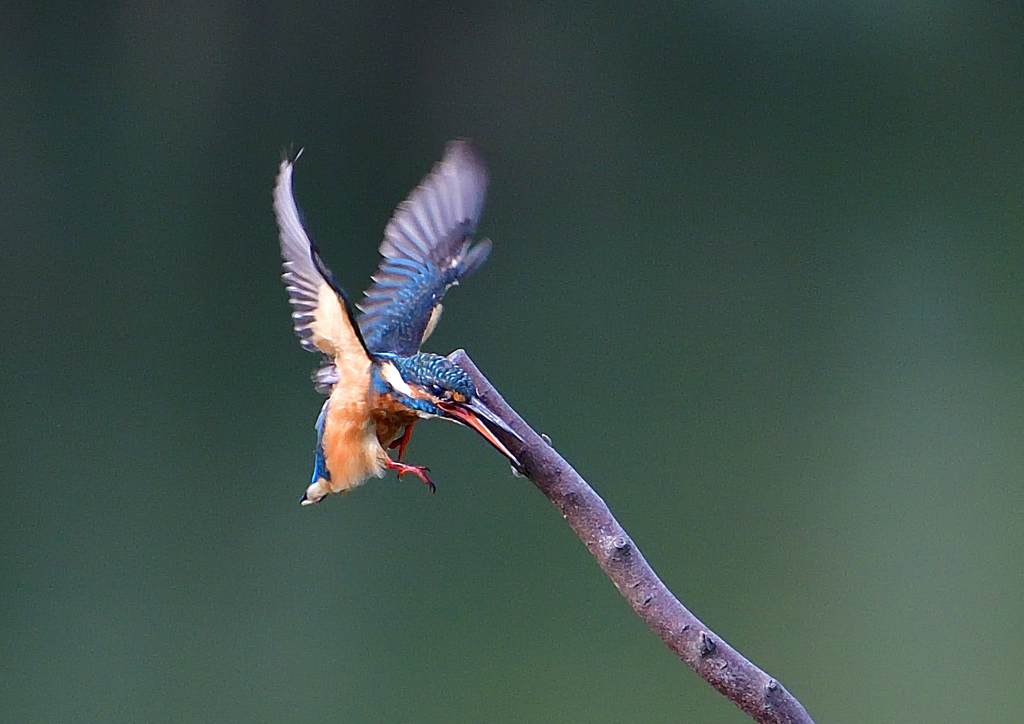 いつもの公園で　９/１９❷