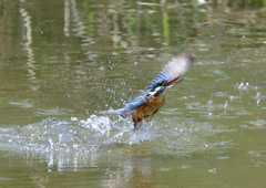 水飛沫　５/５➓