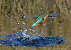 いつもの公園で　１０/２９❶