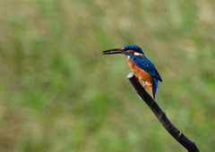 いつもの公園で　９/２４➓
