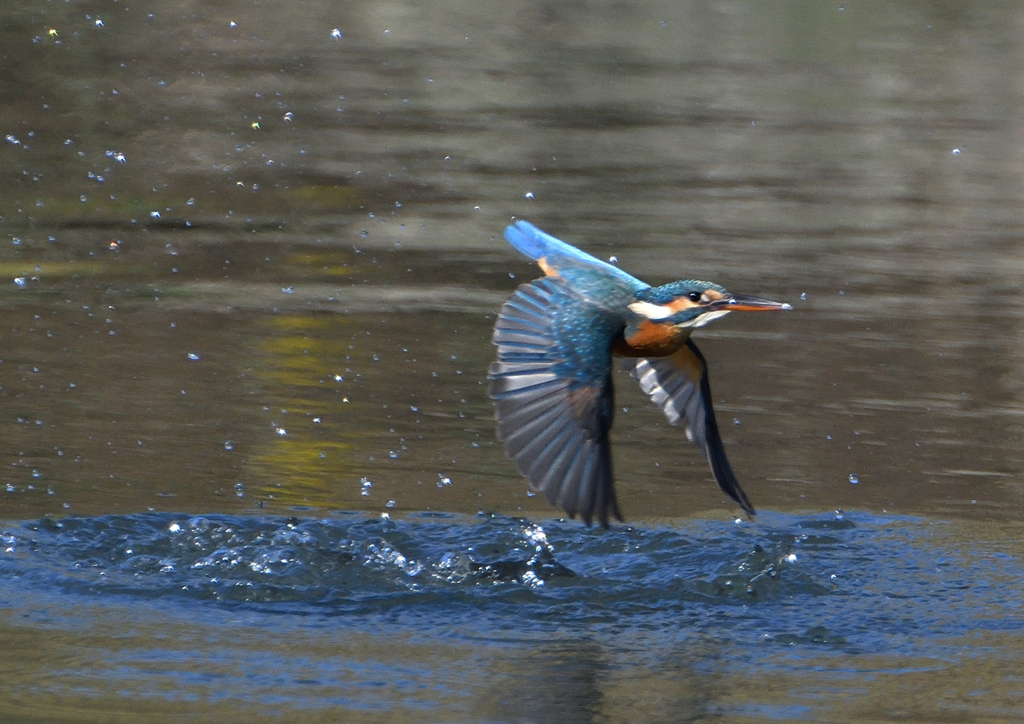 離水　１１/５　❷
