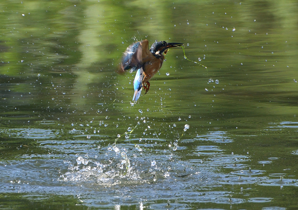 飛沫　８/２６⓬