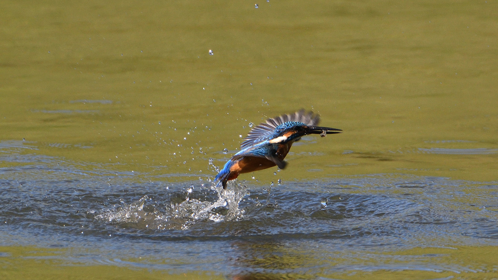 _191009_102320 DSC_9371