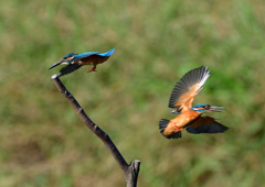 いつもの公園で　１０/７❹