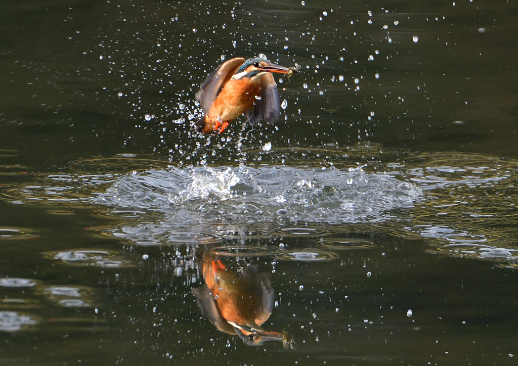 _191031_084942 DSC_8003