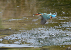 _190317_085406 DSC_7950