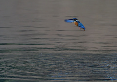 ホバリング　１２/２０❼