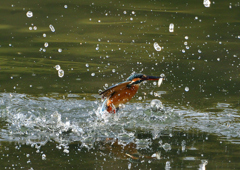 _191031_084207 DSC_7995