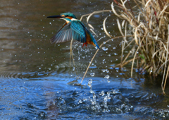 いつもの公園で　１２/１６❷