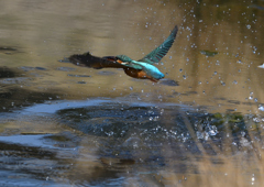 _190226_102119 DSC_2448