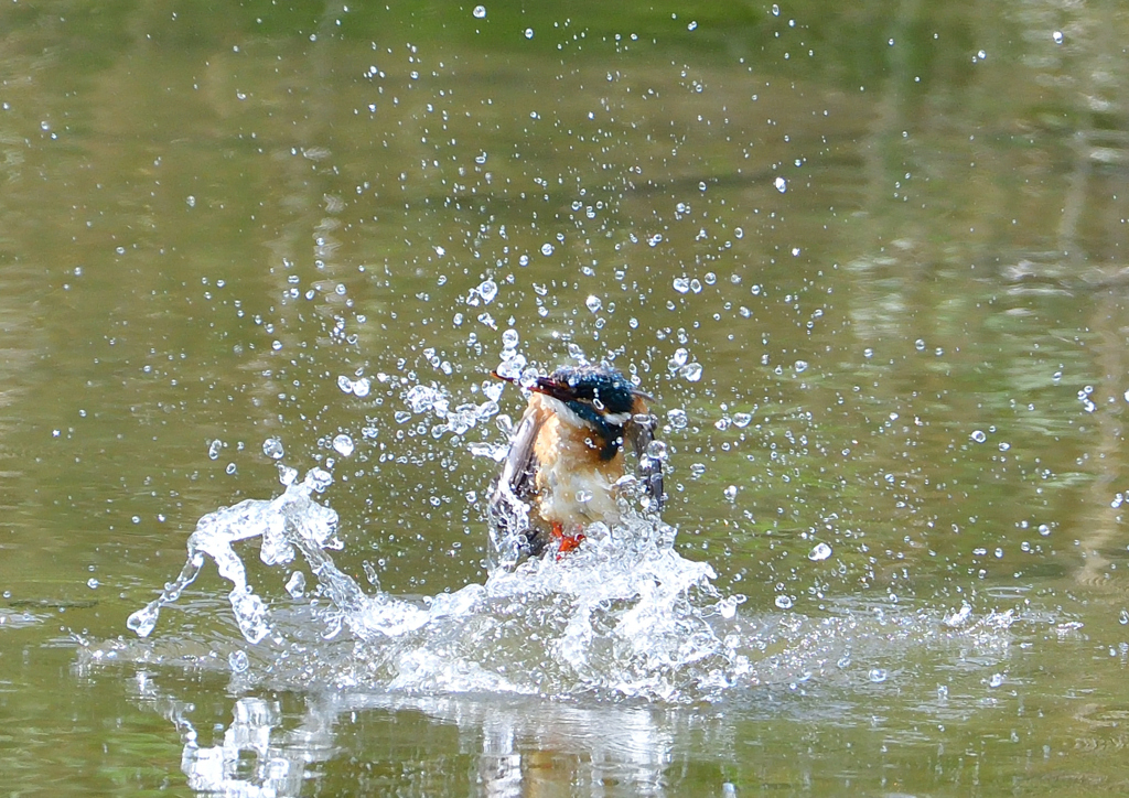 水飛沫　５/５❷