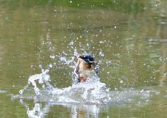 水飛沫　５/５❷