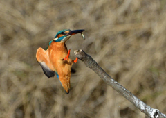 いつもの公園で　12／12❷
