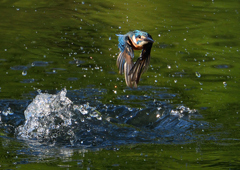 水飛沫　９/２４❹