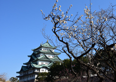 早春❶