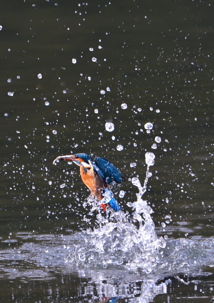 _191102_095120 DSC_8940