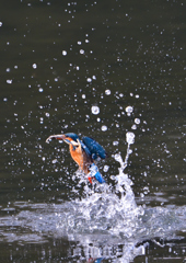 _191102_095120 DSC_8940