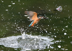 水飛沫　７/２８➂
