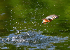 いつもの公園で　８/３０❺