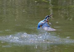 水飛沫　５/５❶