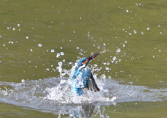 水飛沫　４/２７❶
