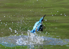 水飛沫　５/１４❸