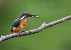 いつもの公園で　９/１６❶