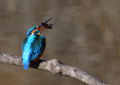 いつもの公園で　１/２５❷