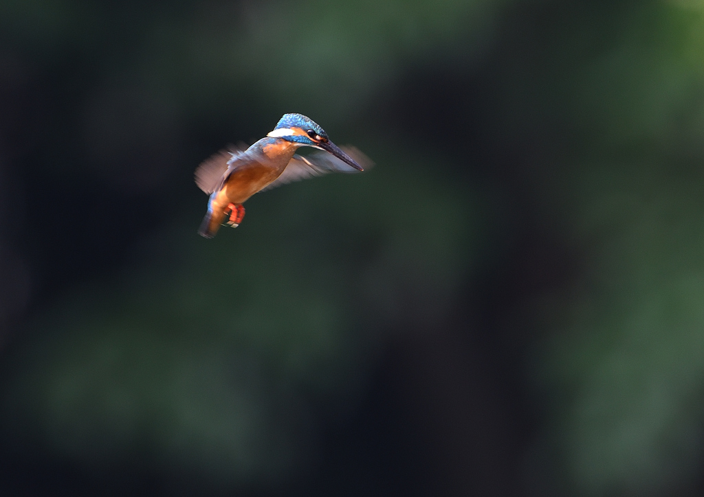 ホバリング　６/２０❸