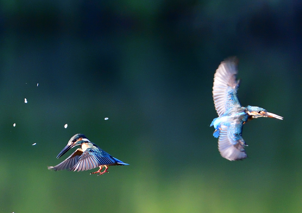 いつもの公園で　８/１６❾