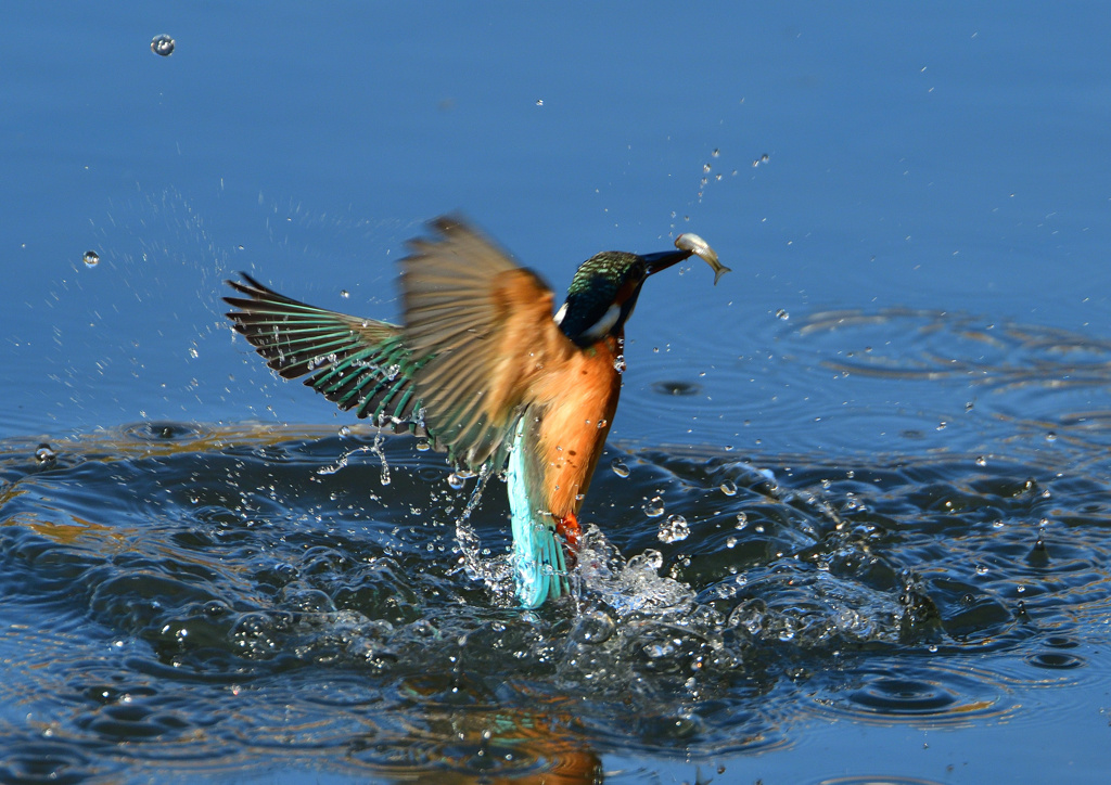 浮上　１２/３❷