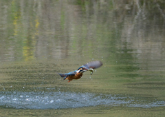 ダイブ　４/２２❻