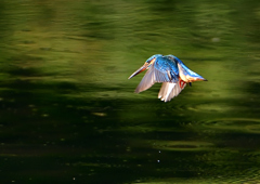 いつもの公園で　１０/１１❸