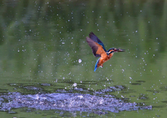 水飛沫　８/１❷