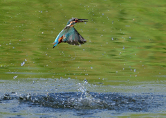 いつもの公園で　９/６❺