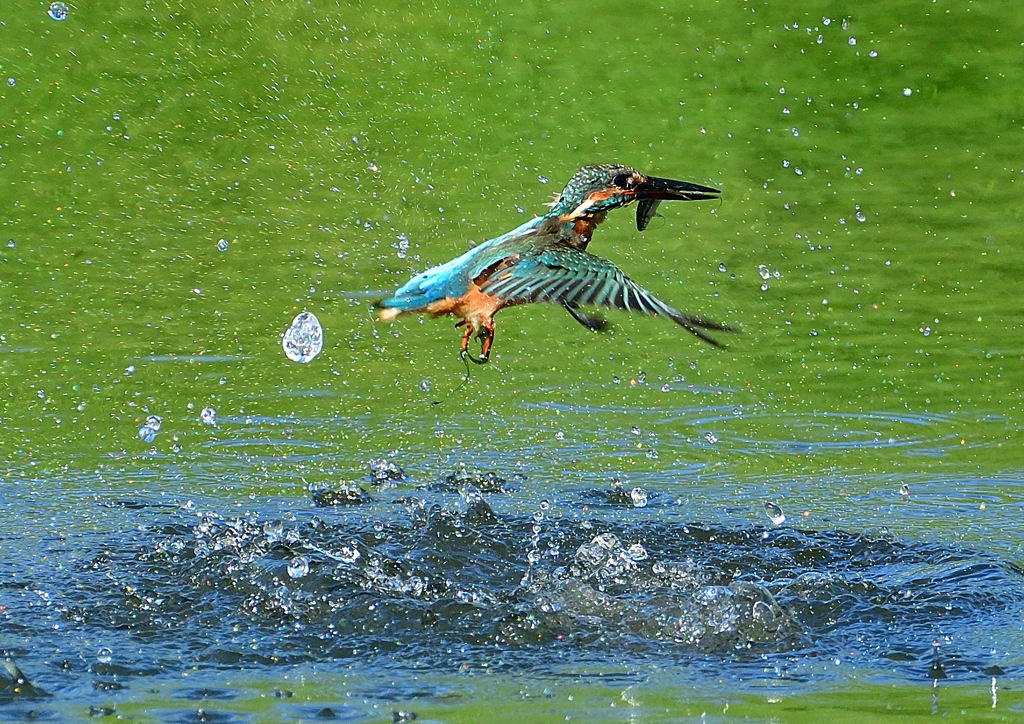 いつもの公園で　９/１４❽