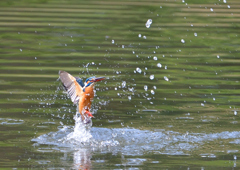 ダイブ　４/２４❷