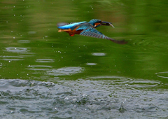 ダイブ　９/２９❶