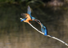 _190125_084114 DSC_6237