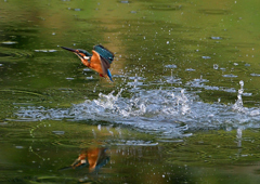 いつもの公園で　８/２１❺