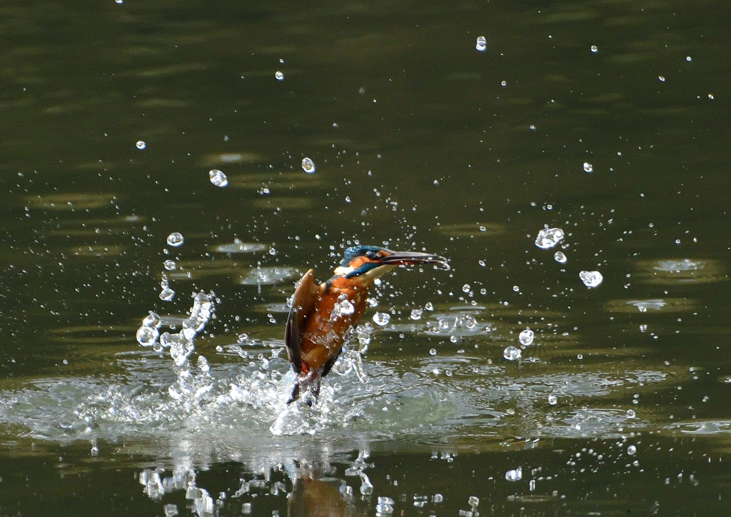 _191102_095018 DSC_8923