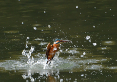 _191102_095018 DSC_8923