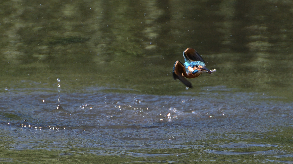 _191009_102350 DSC_9390