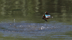 _191009_102350 DSC_9390