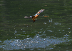 ダイブ　５/１５❸